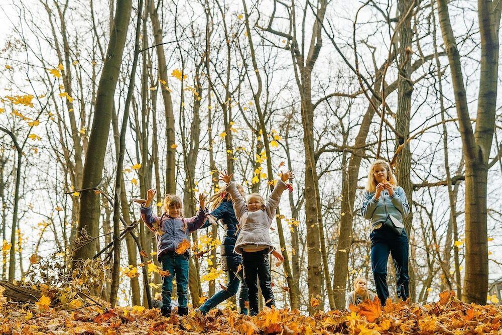 Randonnée en foret